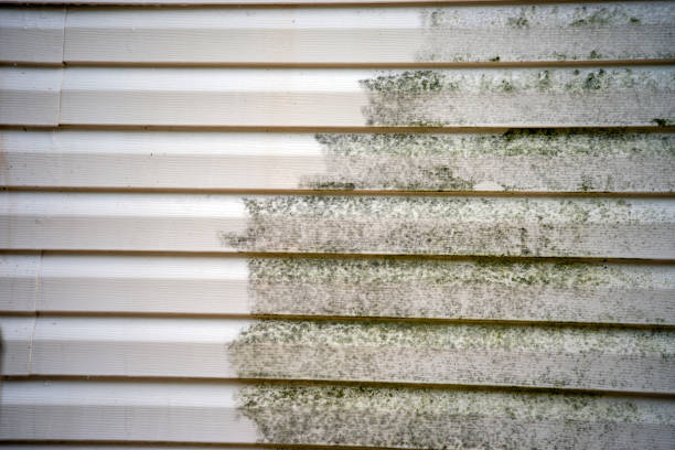 Best Mattress Disposal  in Edburgh, IN