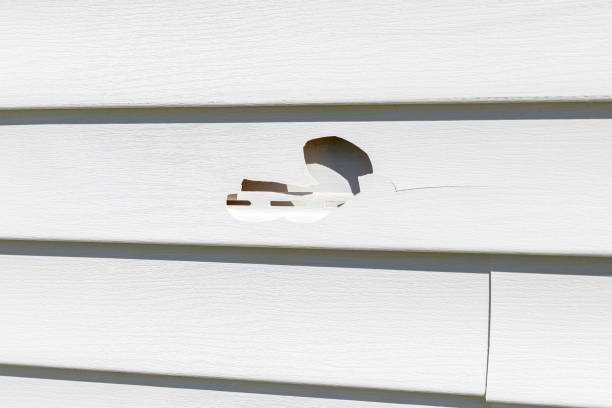 Best Foreclosure Cleanout  in Edburgh, IN